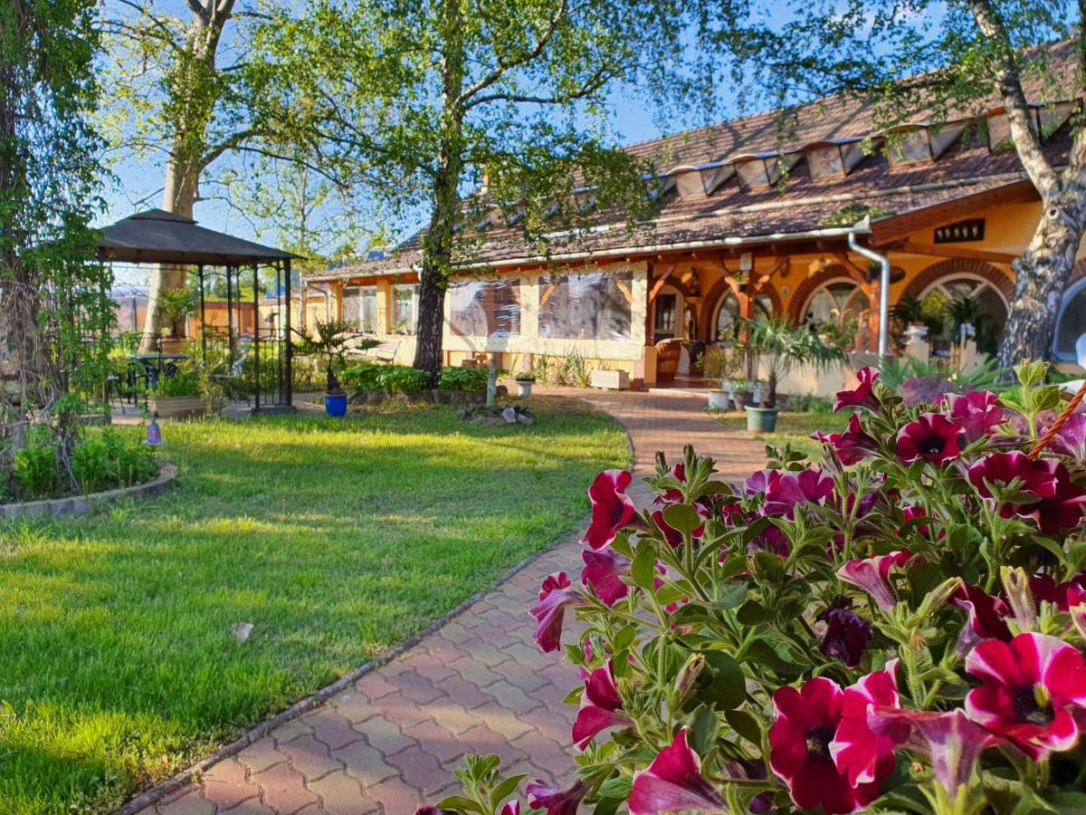 Platan Szallashely Hotel Sandorfalva Exterior photo
